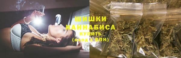 PSILOCYBIN Баксан