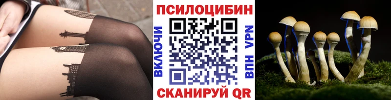Псилоцибиновые грибы Psilocybe  наркота  omg вход  Колпашево 
