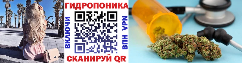 Каннабис SATIVA & INDICA  Колпашево 